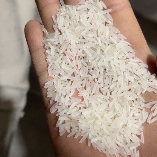 潜山市农家优丝苗