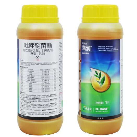 德国巴斯夫 凯润 吡唑醚菌酯叶斑病霜霉病植物农药杀菌剂