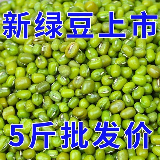 昆明绿豆2023新鲜小绿豆粥笨绿豆汤可发豆芽五谷杂粮特