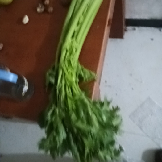 平舆县芹菜