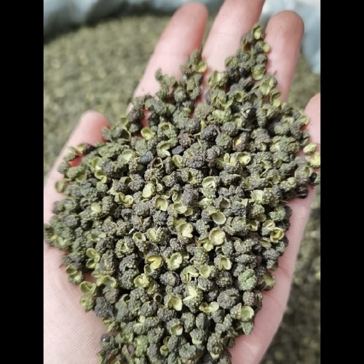 广州青麻椒/花椒