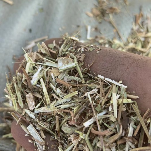 大名县牛羊牧业草料   花生秧  揉丝除膜花生秧  绿色花生秧