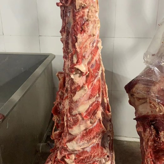 重庆市新鲜黄牛吊龙肉