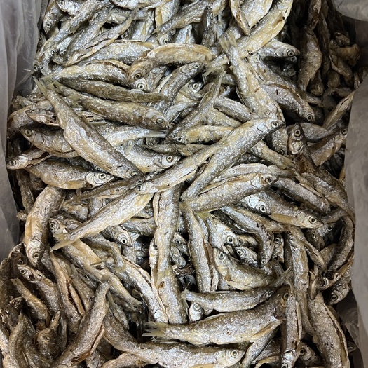 九江油炸小餐鱼，无盐破肚不苦！
12公分货哈