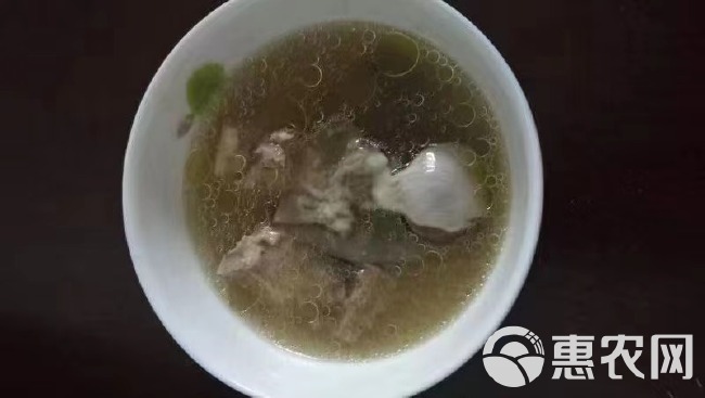 散养黄羽乌鸡，纯粮食喂养