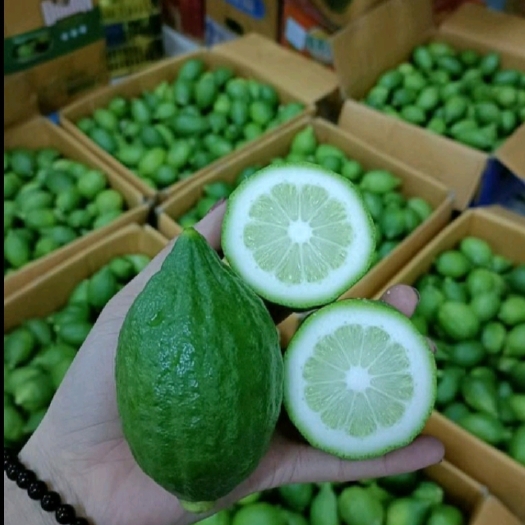 廉江市香水柠檬