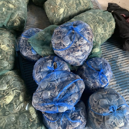 泗洪县大闸蟹