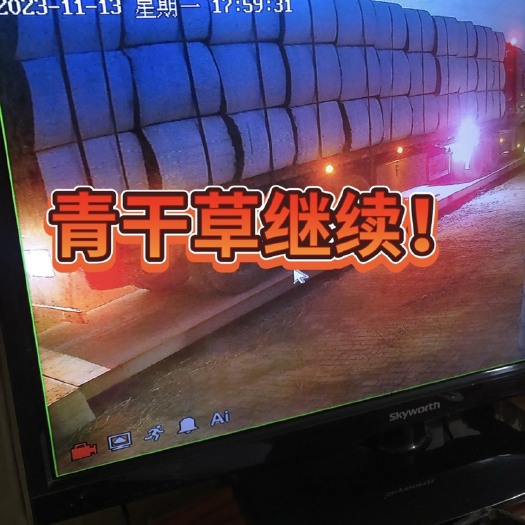 黄骅市青干草继续发货，有需要的可以私信