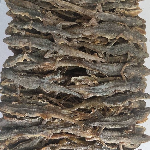 亳州壁虎 壁虎干 天龙 天龙干 守宫 批发零售一手货源