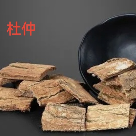 洛南县秦岭深山老杜仲皮挑选老丝绵树厚皮片可煲汤泡酒杜仲茶