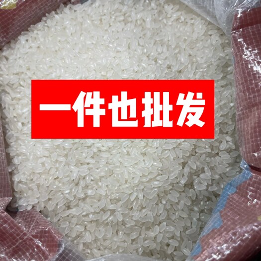 批发零售东北大米长粒香黑龙江河水大米