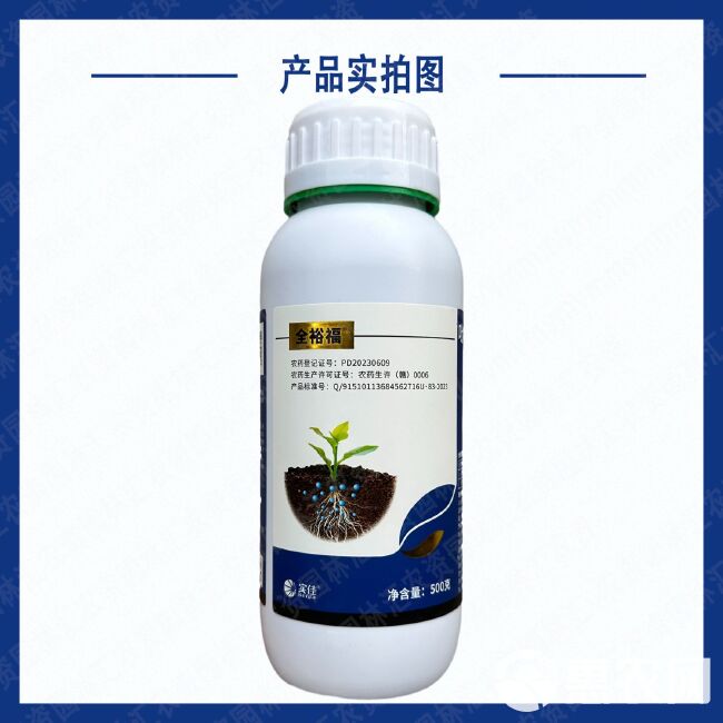 实佳10%吡唑酯咯菌腈精甲霜蓝药水农药杀菌剂正品农用黑痣晚疫