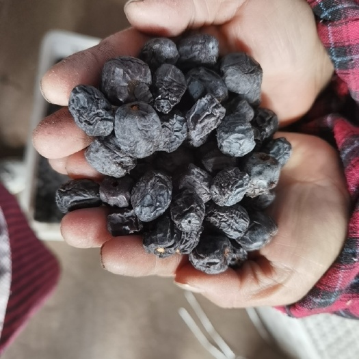 涉县太行精品黑枣
