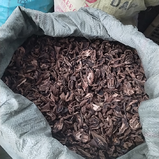 白山青核桃片