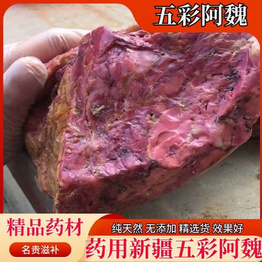 亳州药用天然五彩阿魏正品新疆天然五彩阿魏中药材五彩阿魏入药可钓鱼