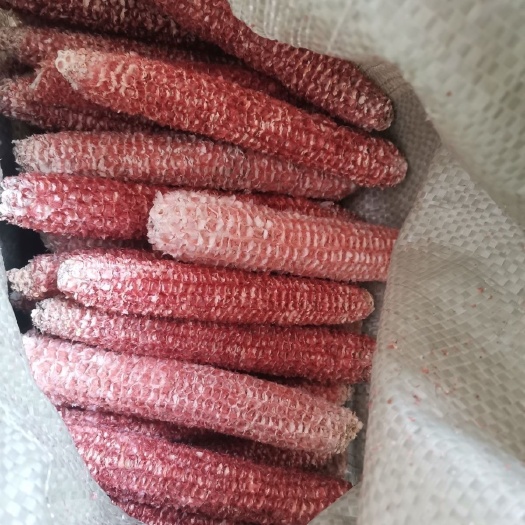 定边县玉米芯