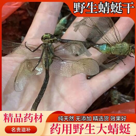 药用绿蜻蜓中药材干蜻蜓黑蜻蜓药用大蜻蜓整个蜻蜓超大号正品