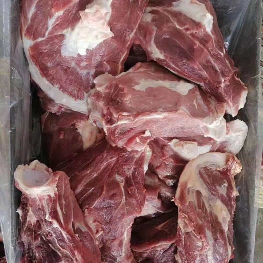 母猪扇骨