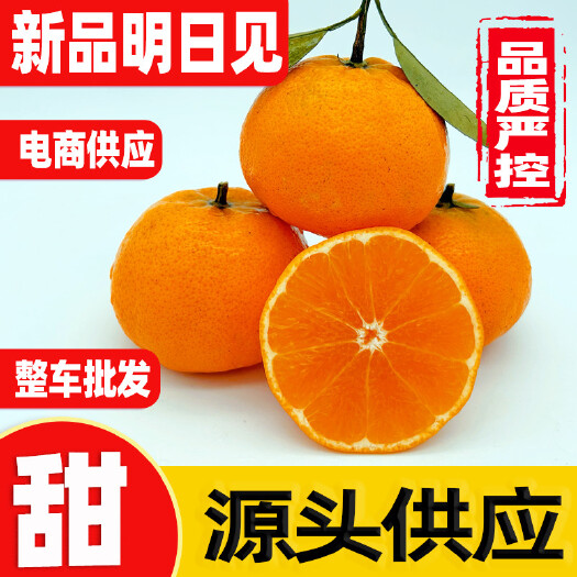 明日见柑橘阿斯蜜兴津58号阿思密橘子支持整车发货及一件代发