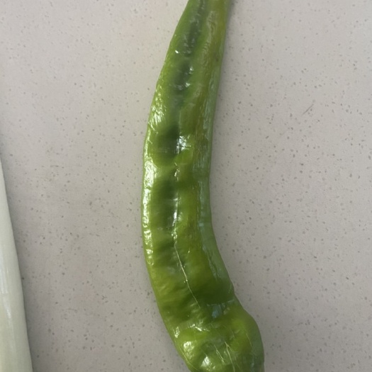 长沙辣椒