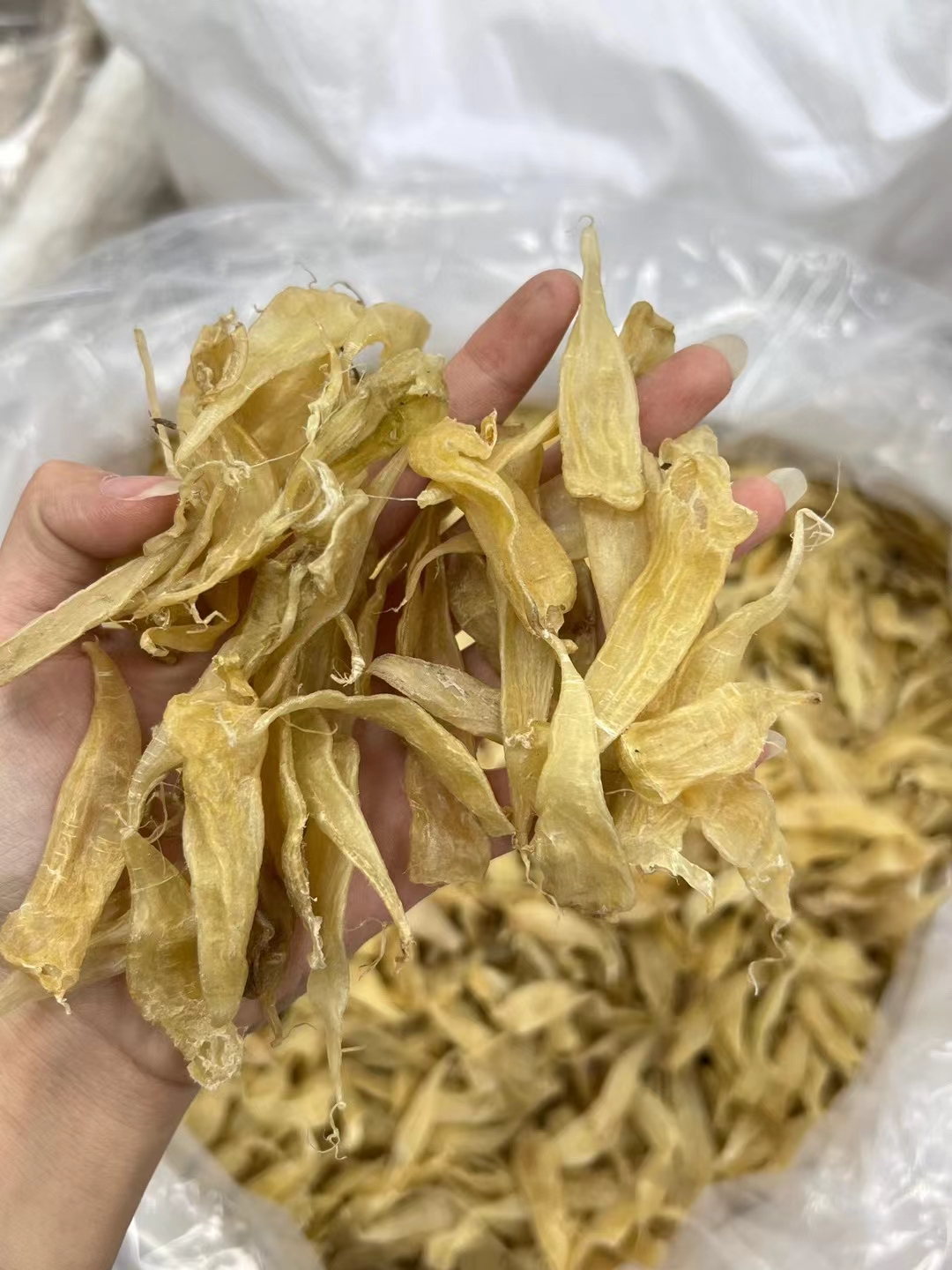 豆仁公胶，胶质爆棚，高性价比