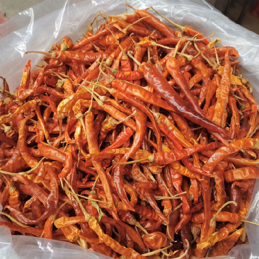 南雄市粤北韶关南雄黄辣椒干农家自种辣椒微中辣味香（有1000斤）