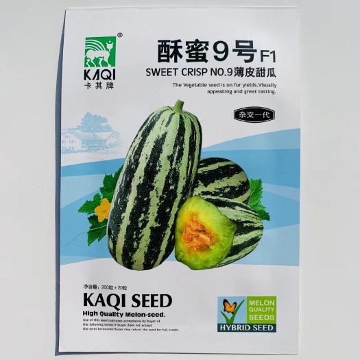 沭阳县博洋甜瓜种子 果实粗棒形果皮灰白绿色覆黑条斑条带清晰靓丽果肉