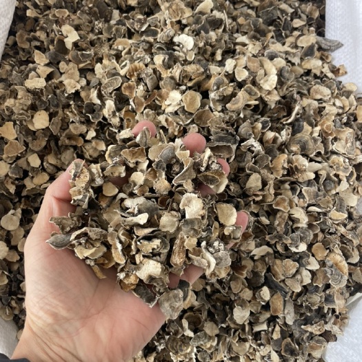 亳州大货云芝全规格包全检测