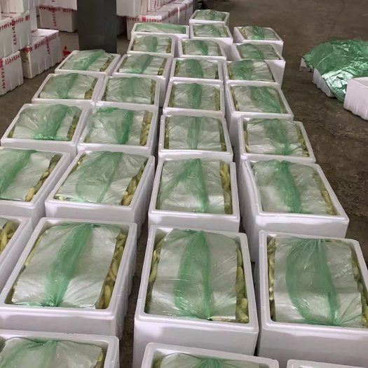 徐闻县最健康的食物新鲜水果玉米笋
