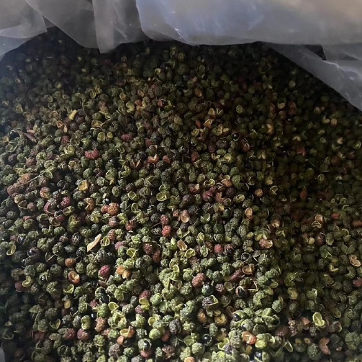 盐源县青花椒，转红