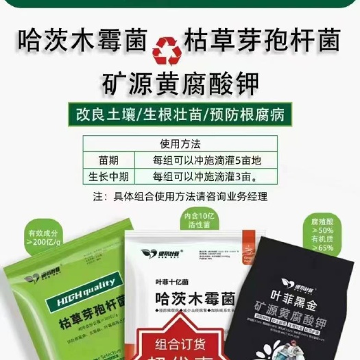 封丘县生根壮苗，调理土壤，防治根腐