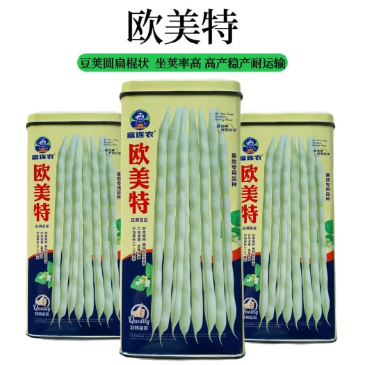 欧美特白荚四季豆种子芸豆种子中蔬绿白荚扁圆无筋架豆种子四季豆