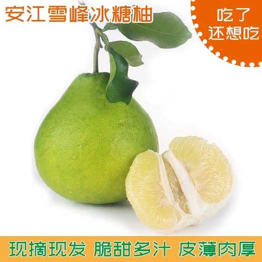 洪江市安江雪峰冰糖柚