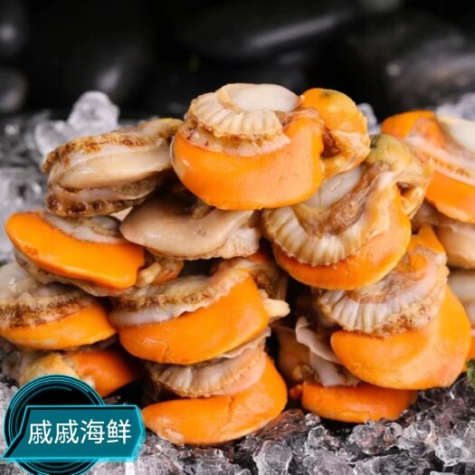 连云港扇贝肉 新鲜品质个头大 海鲜原产地发货 一件也是批发价