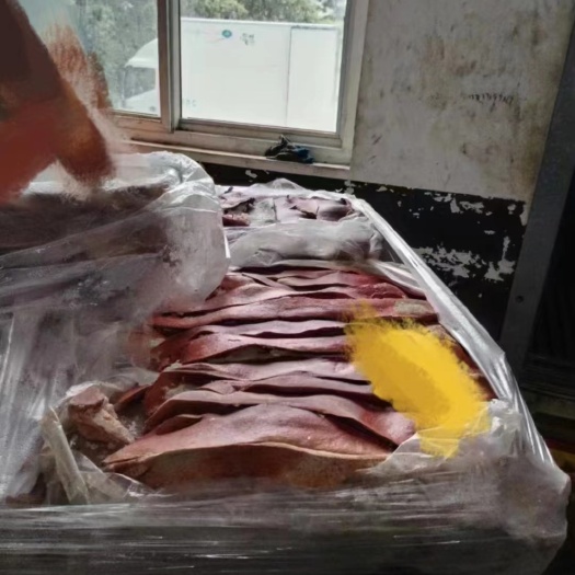 沂南县饲料沙肝