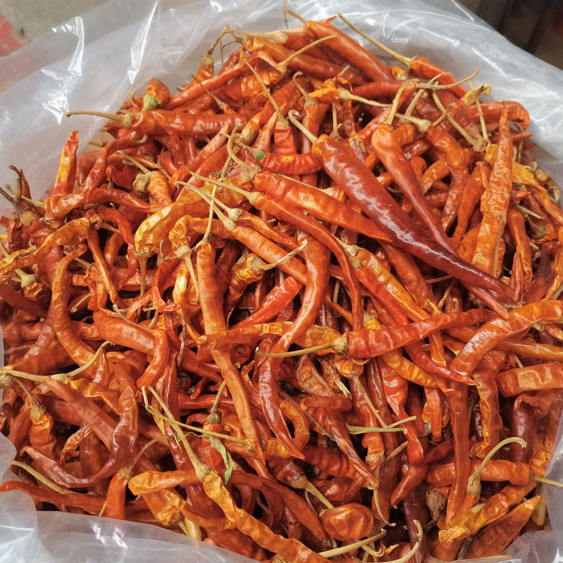 粤北韶关南雄黄辣椒干农家自种辣椒微中辣味香（有1000斤）