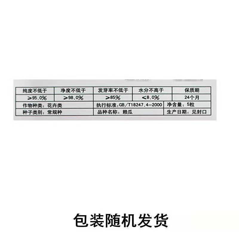 水果小癞瓜金铃子赖葡萄种子黄金小苦瓜四季爬藤阳台盆栽水果种子