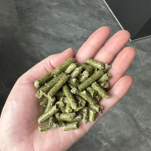 定边县优质苜蓿颗粒