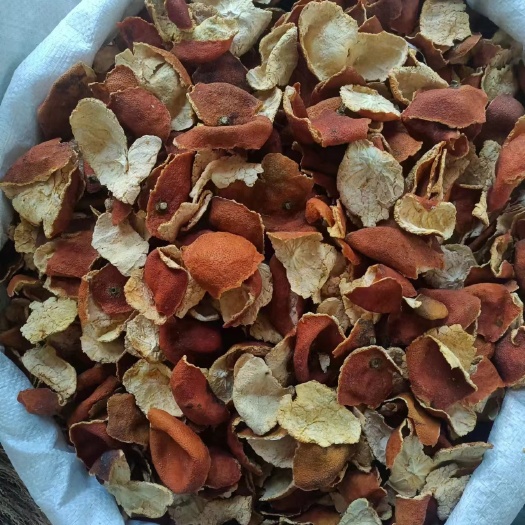 沛县陈皮，鲜橘子皮，烘干橘子皮