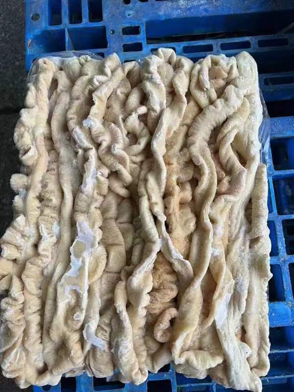 青岛冻品食材 猪大肠 预煮大肠