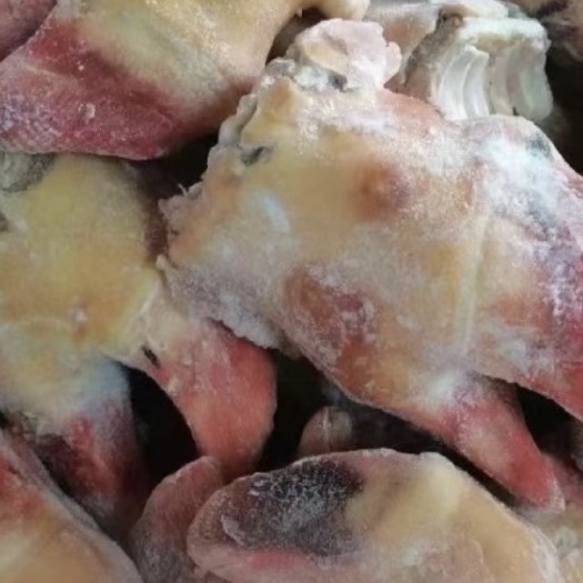 宜川县黄牛蹄