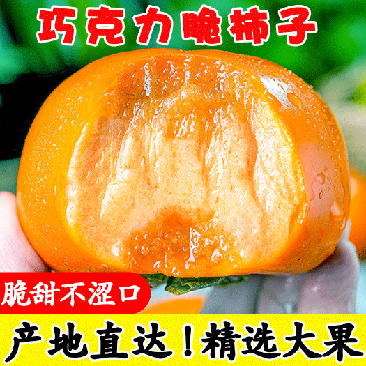 商河县【10斤】甜脆柿子水果当季广西新鲜硬柿子阳丰小红脆柿批发