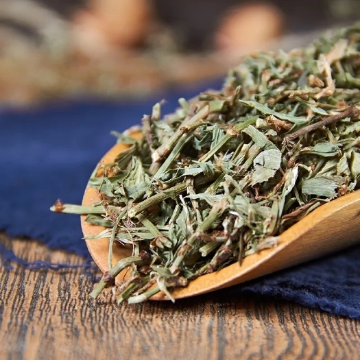 玉林萹蓄草