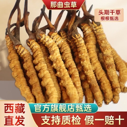 亳州冬虫夏草西藏冬虫夏草干货虫草那曲官方旗舰店正品虫草鲜礼盒