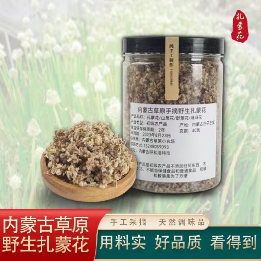 武川县内蒙古大草原扎蒙花麻麻花野山葱花