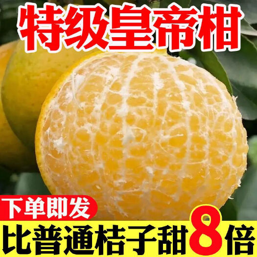 南宁皇帝柑薄皮新鲜贡柑桔子新鲜应季水果整箱柑橘橙