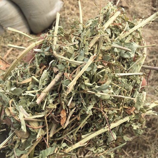 唐河县花生秧秸秆，花生秧干草草料，牛羊草饲料，饲草，无土无膜无霉