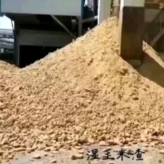 温县湿玉米渣