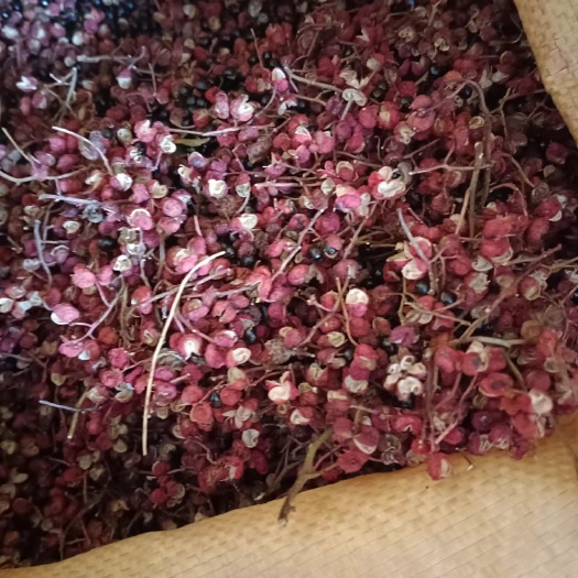 涉县花椒