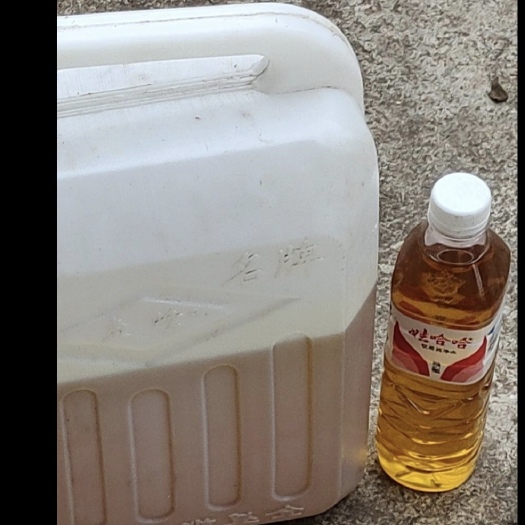 桂平市茶油